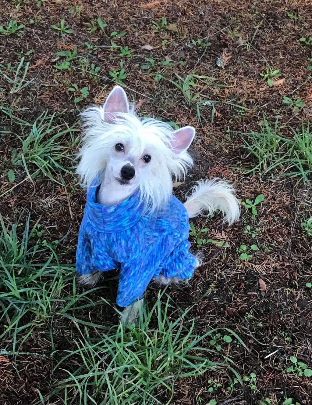 Explicit I'll Make U Sweat Like A Sinner On Sunday