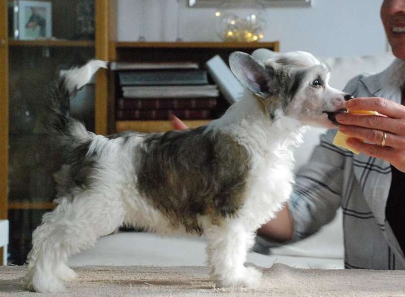 Jean Dark Queens Don't