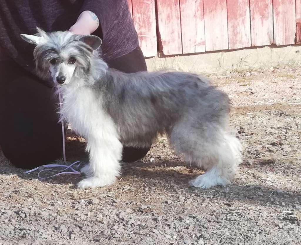 Kaitlin Unicorn Sunrise Kiss