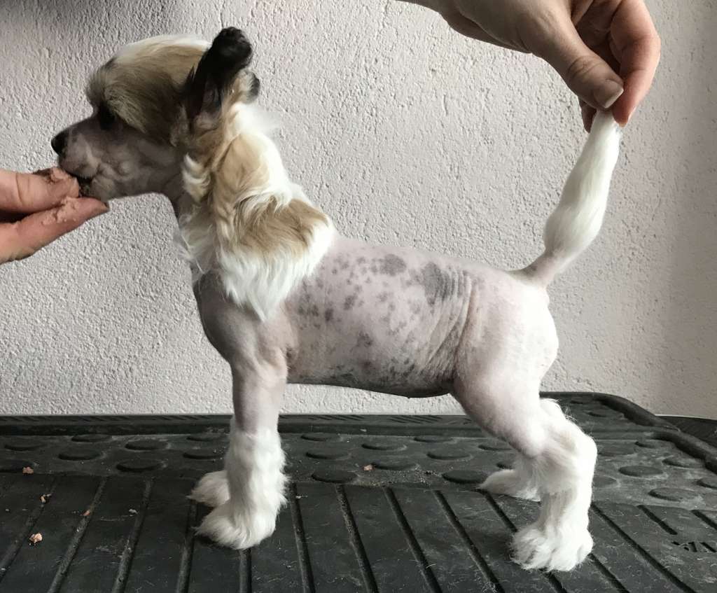 Moelmo's Yours Forever