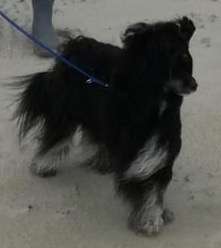 Che Guevaro-Clavero Cante Tinza