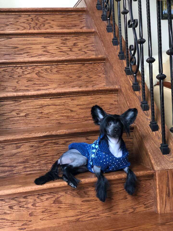 Naimuluna Line Indigo