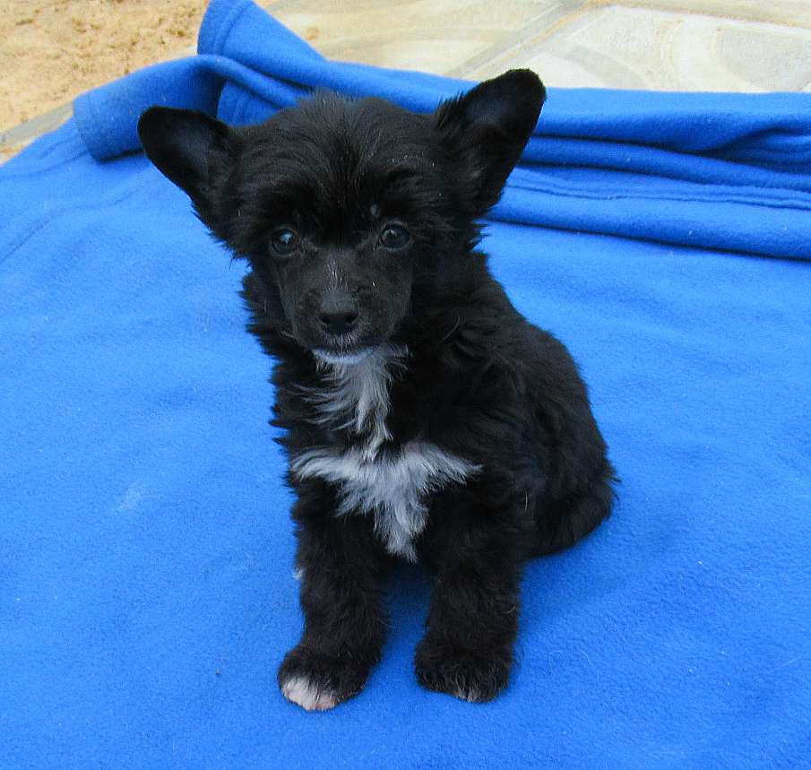 Naimuluna Line Illiada