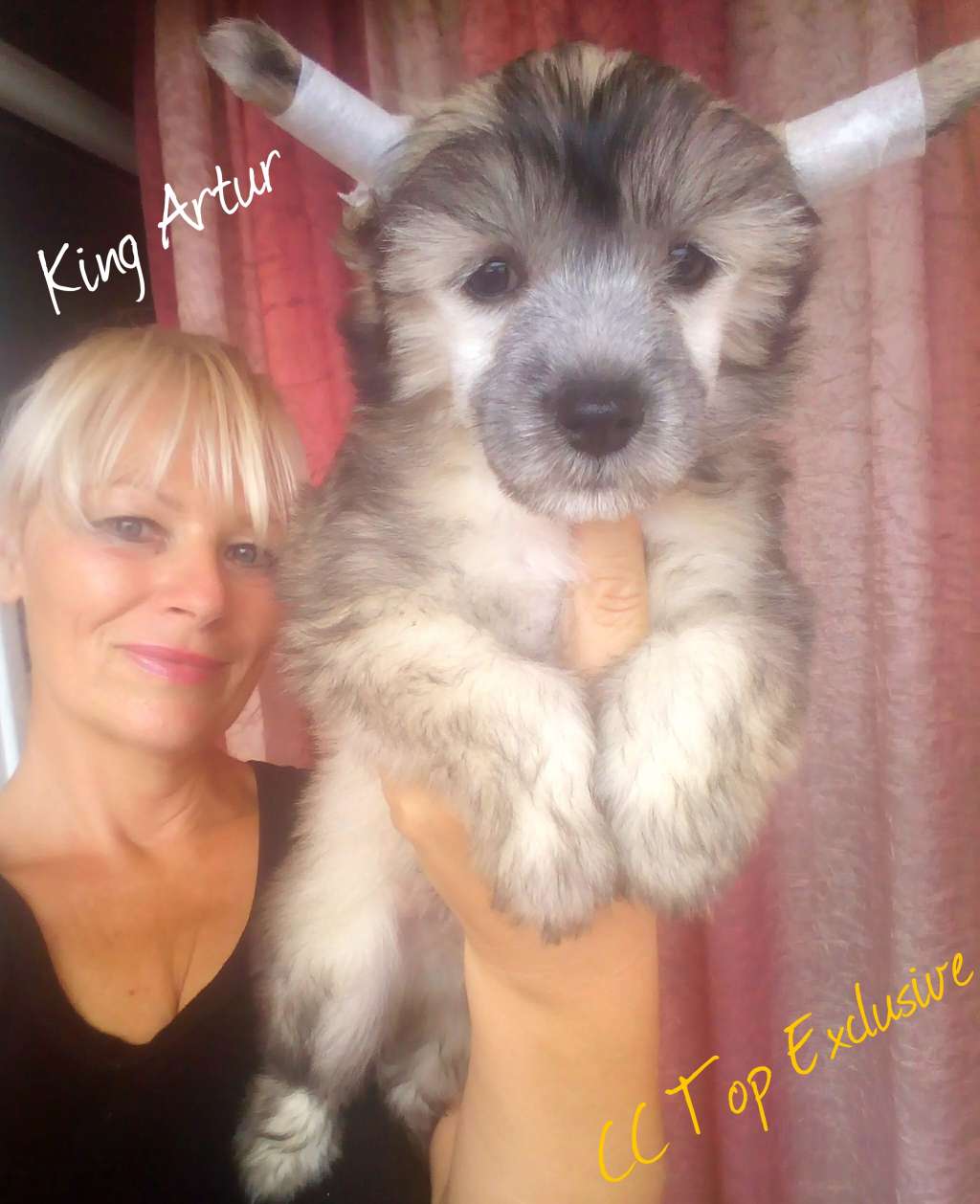 CC Top Exclusive Artur King