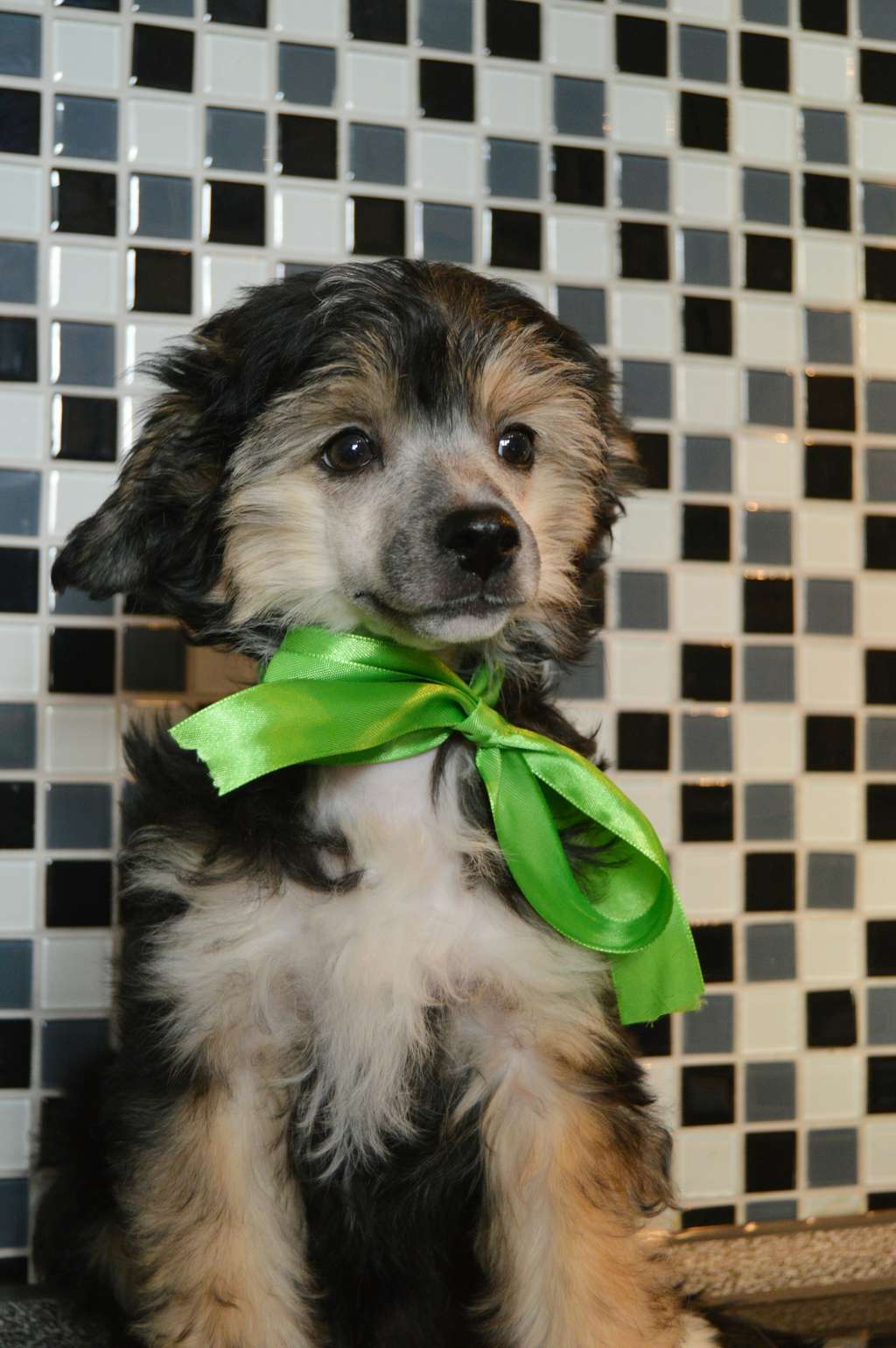 Best Of The Best Iz Chudnoy Doliny