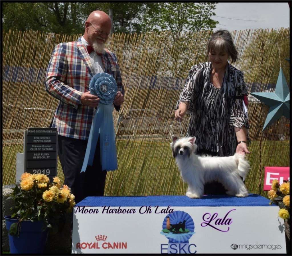 Moon Harbour Oh Lala *