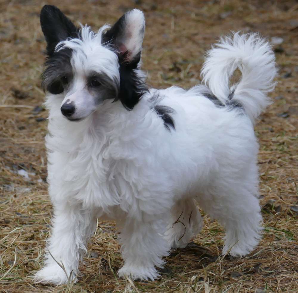 LaurelGlen's JaMakin' Me Crazy