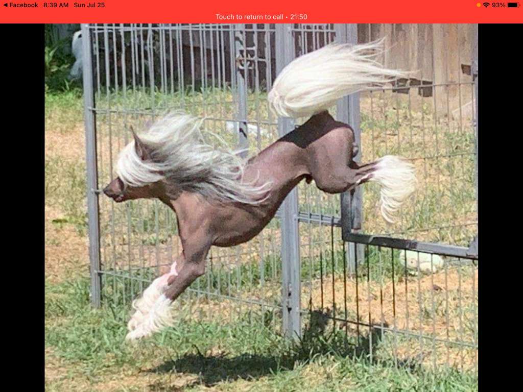 LaurelGlen's Scandals 'N Whispers