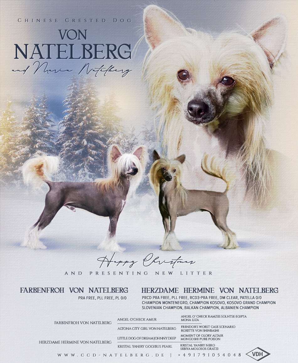 Farbenfroh von Natelberg