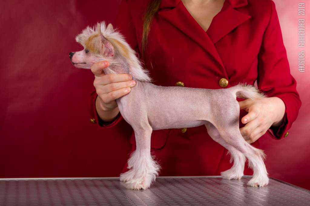 Grand Passage Binelli