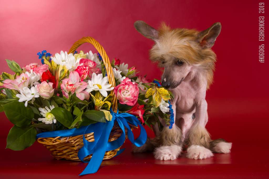 Grand Passage Bender