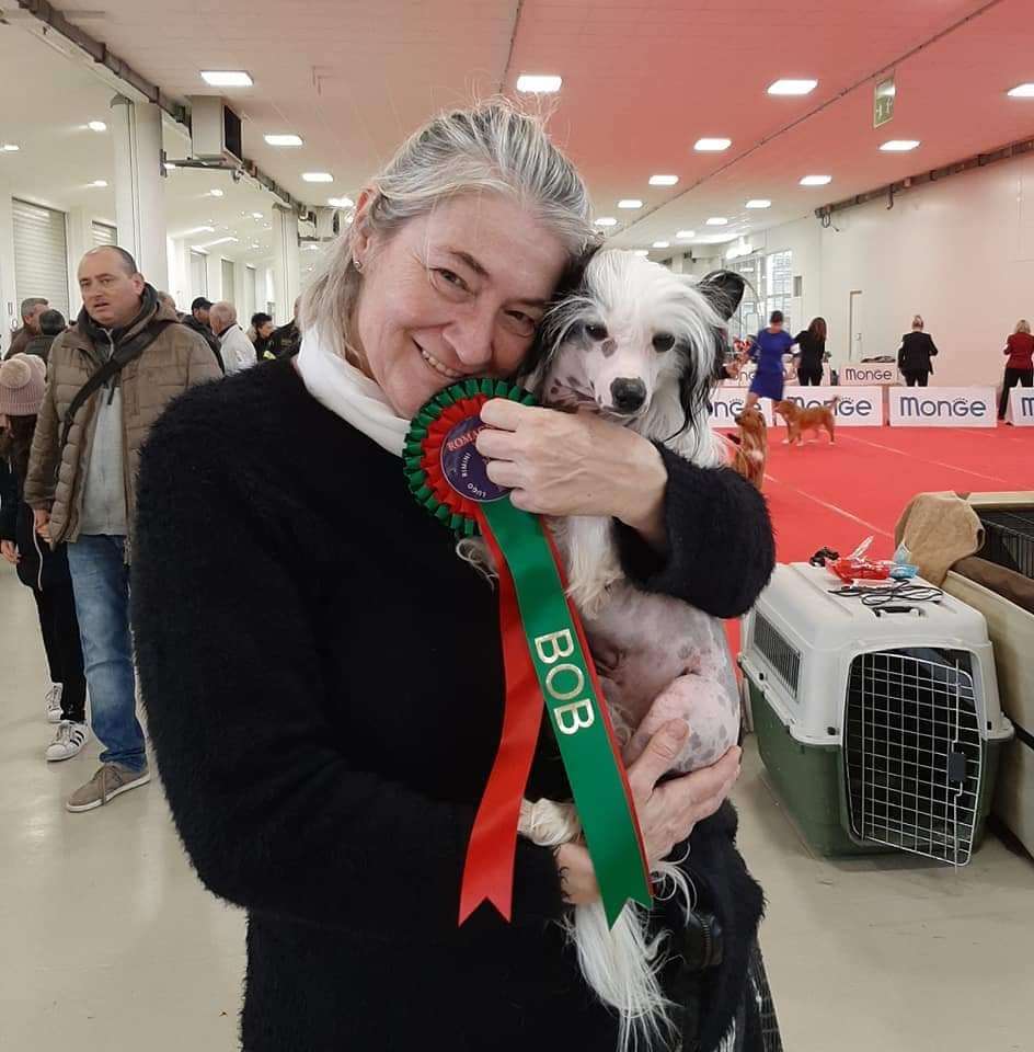 Dakota Rose Black Spot