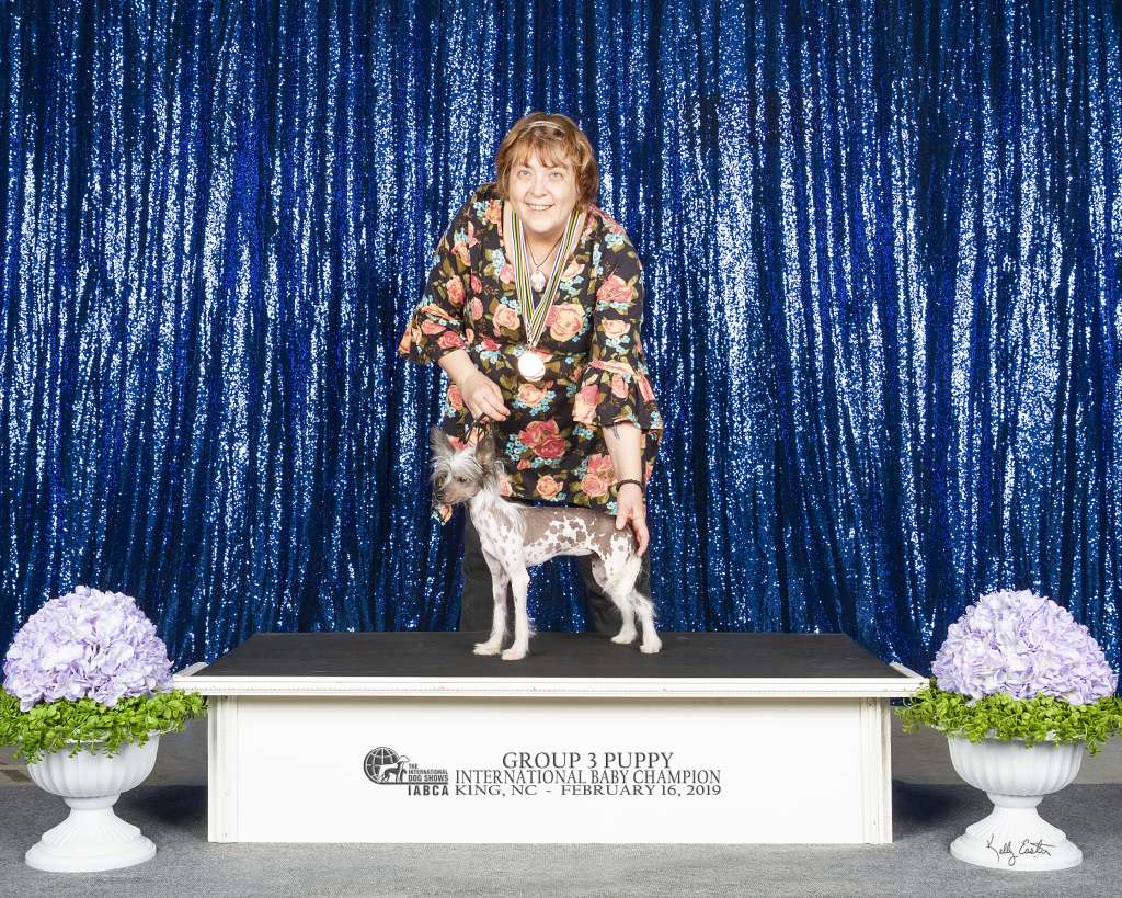 Frozen Star Lindisfarne at Lyric Town