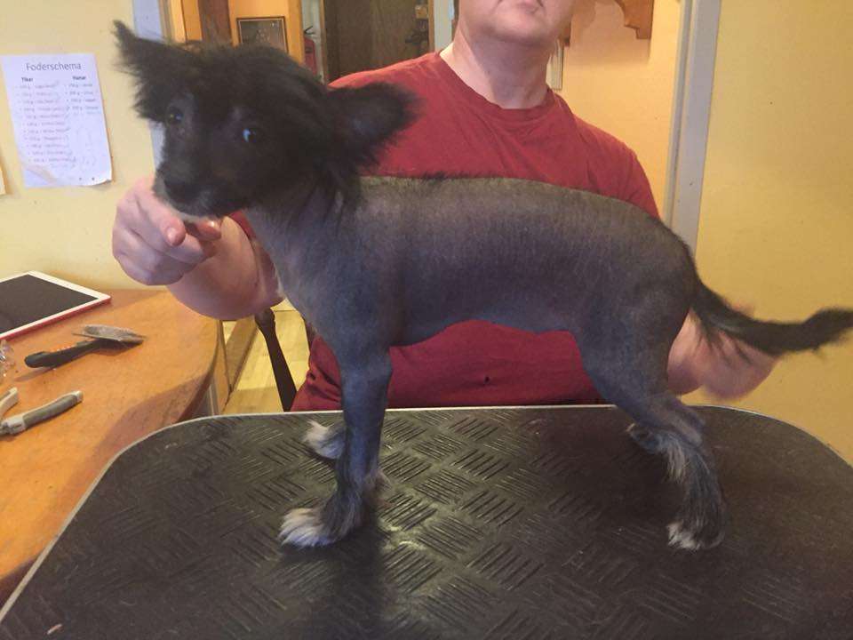 Yrar Absolutely Fabulous