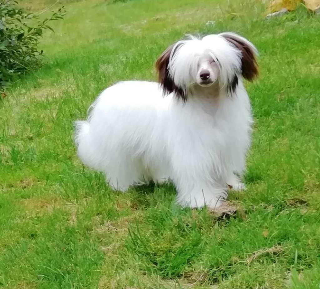 Bielka's Magical Milkyway