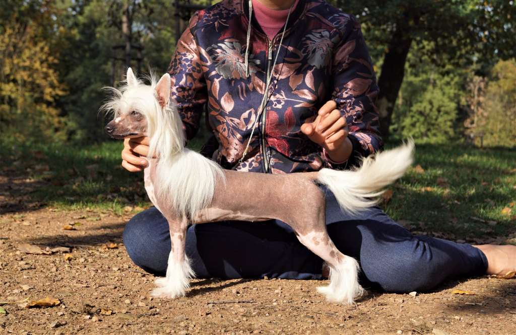 Last Beauty on Earth Heybett