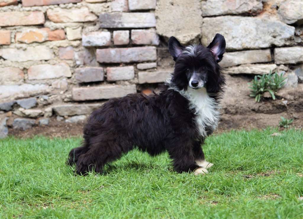 Keep My Secrets Heybett