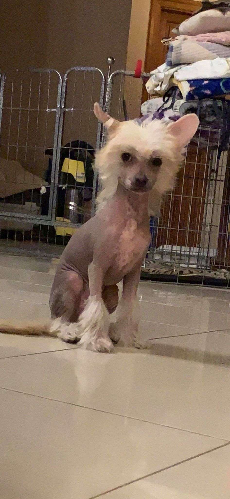 Fundoklia-völgyi Kaszanics Perry