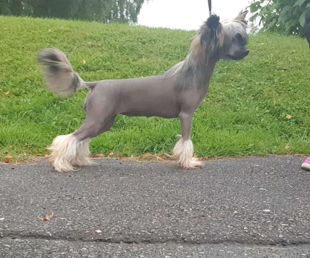 Tournais Best Since Sliced Bread