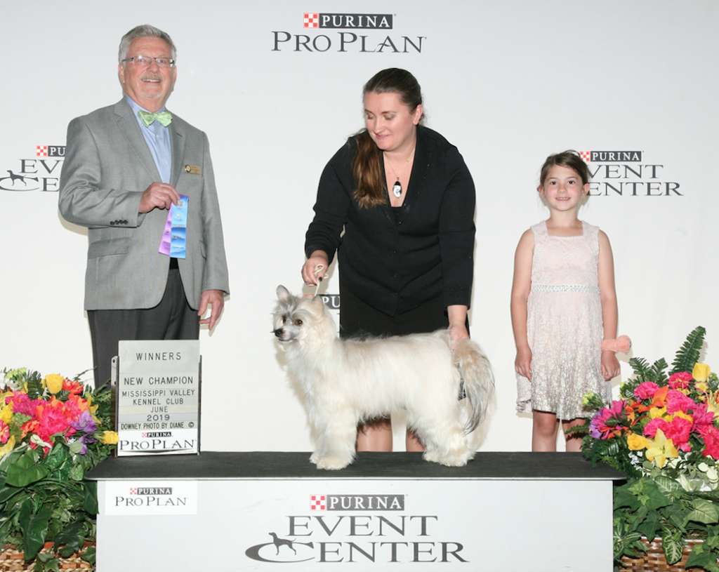 Ch Sunlit Miyagi's Mate Bcat Cgc Tkn