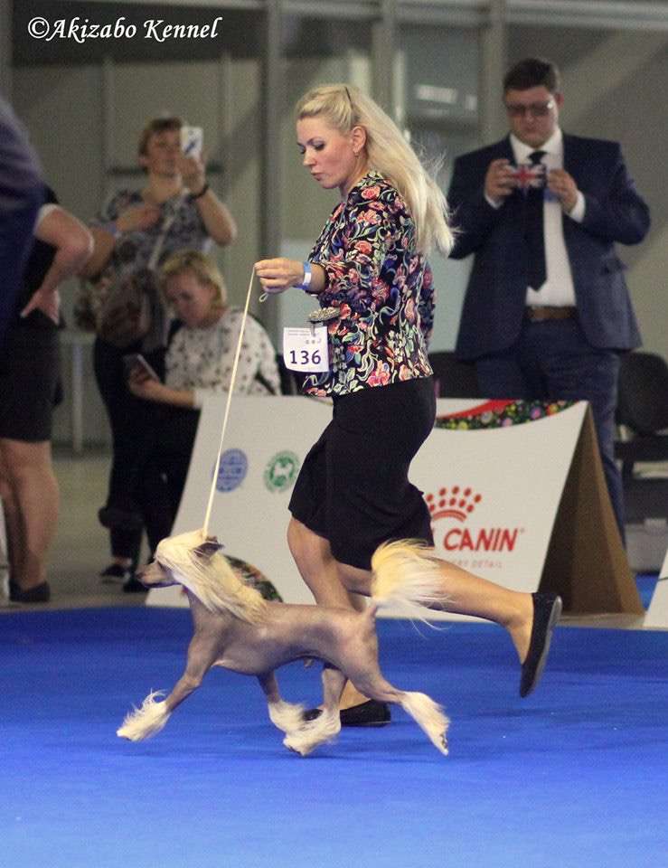 My Vanity Fair Netti Mathew