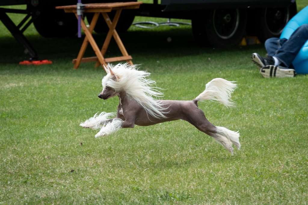 Sol'tanto Zefira D'amore