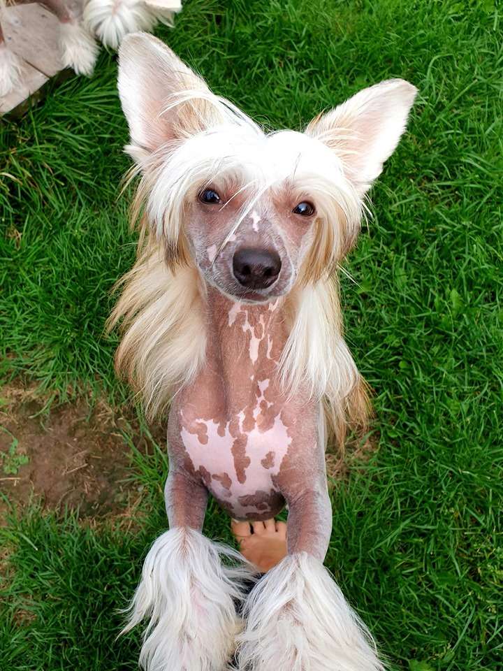 Ridgecrest's The One And Only