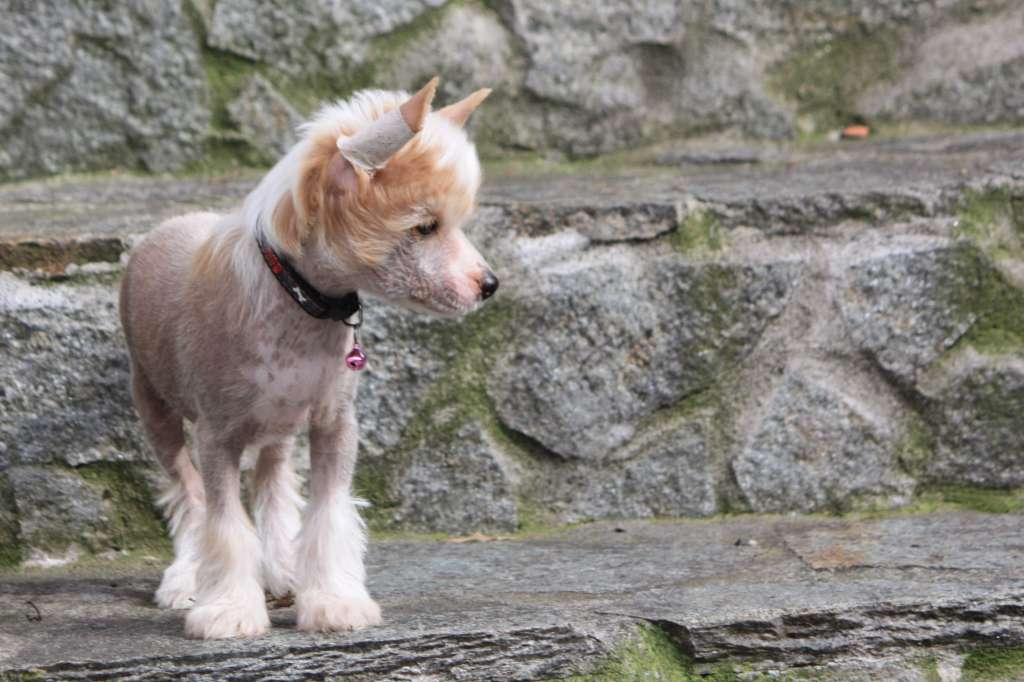 Touch My Soul Aramis