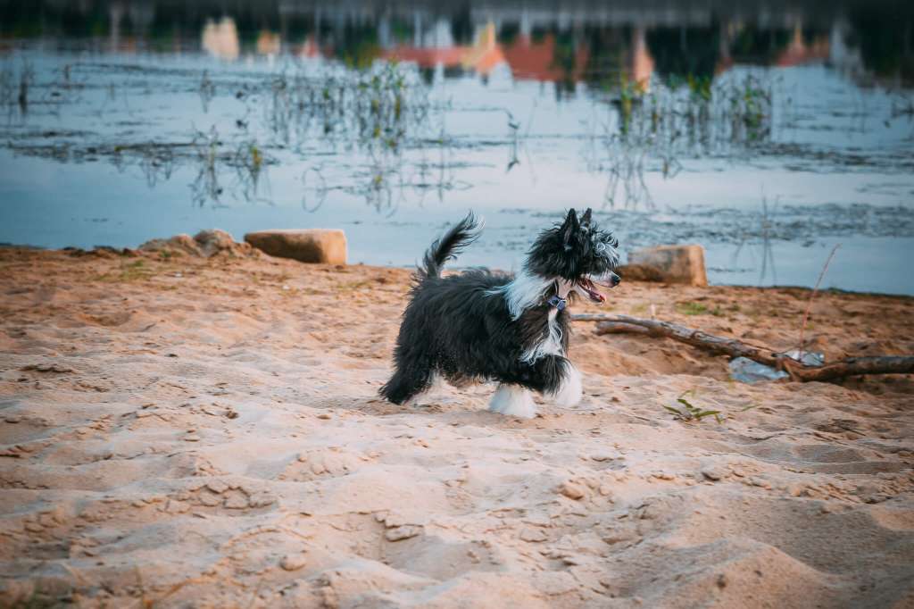 MEFFI Aniolek z Rozkami