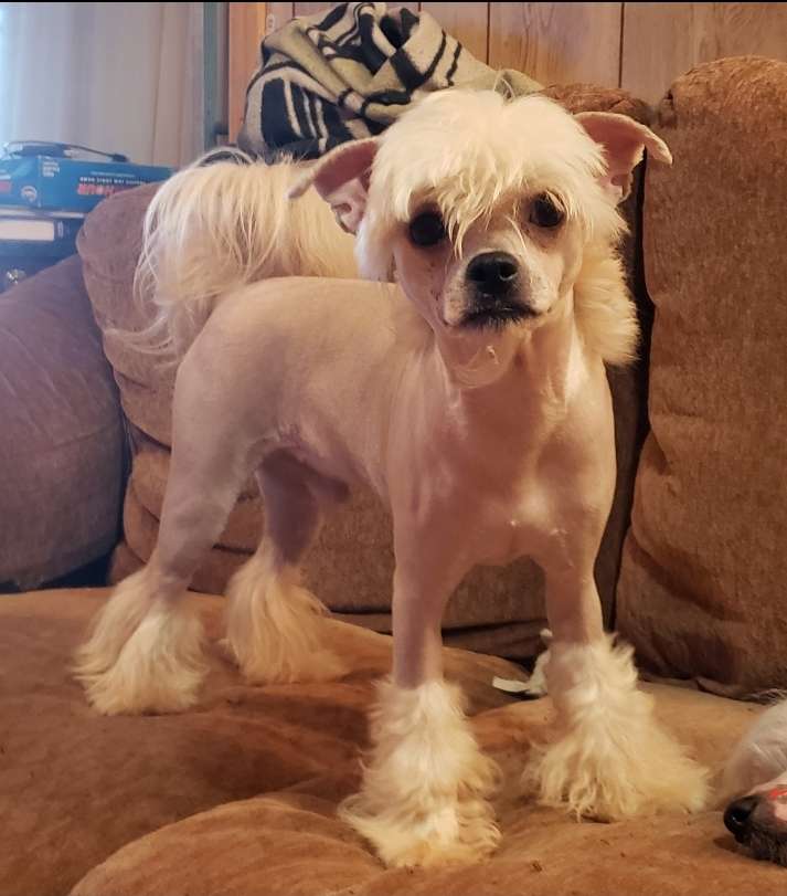 Long Haul's Lethal Weapon