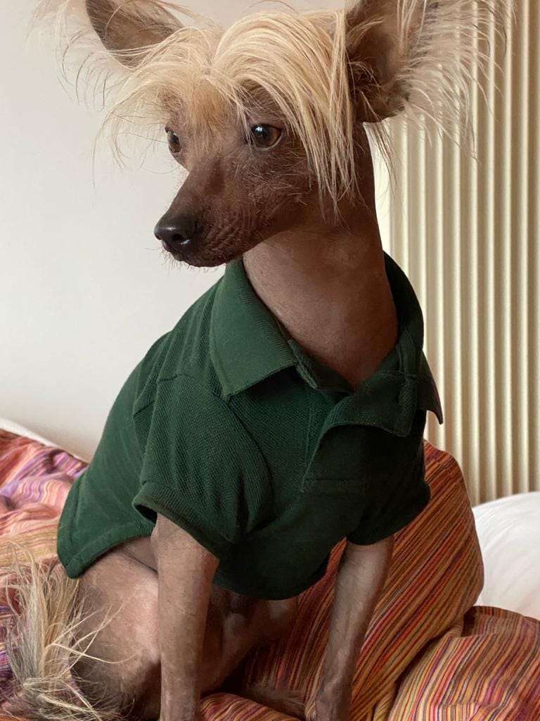 Naked Dream of Ria's Pride