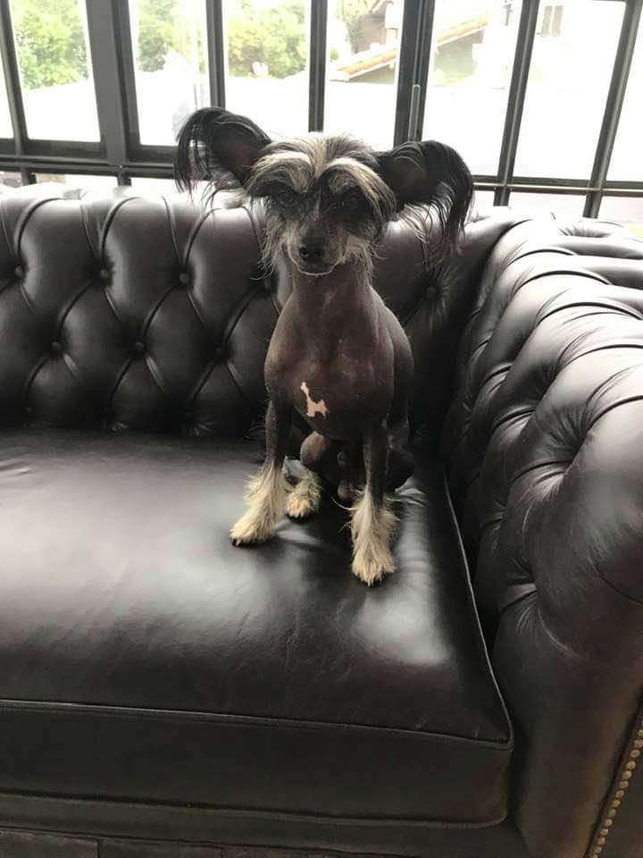 Patagonia Ranch Moroco