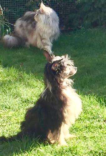 Yusri Of Love Diamond Place