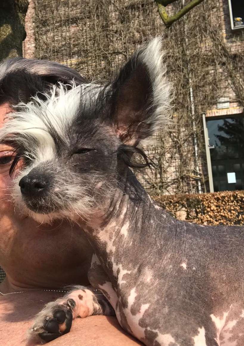 Zephyr Diamond Place