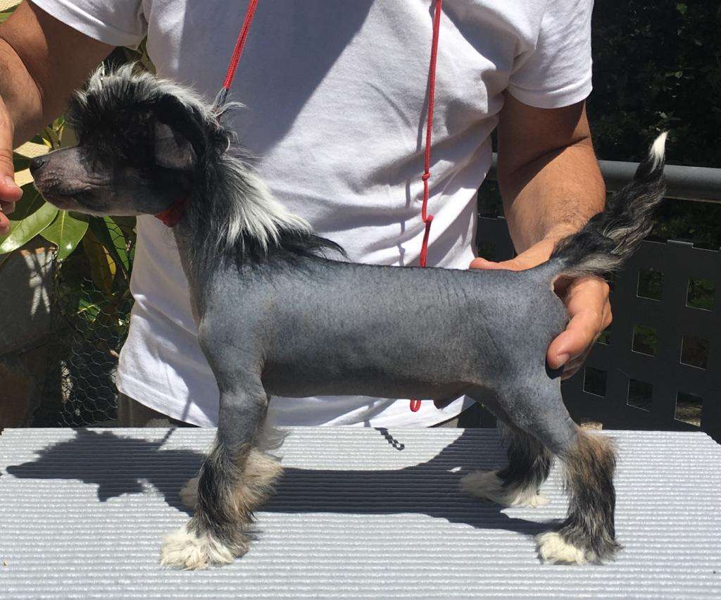 Chic to Chic Full of Grace