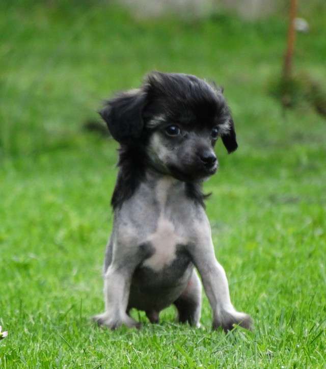 Forseti's Poetry in Motion