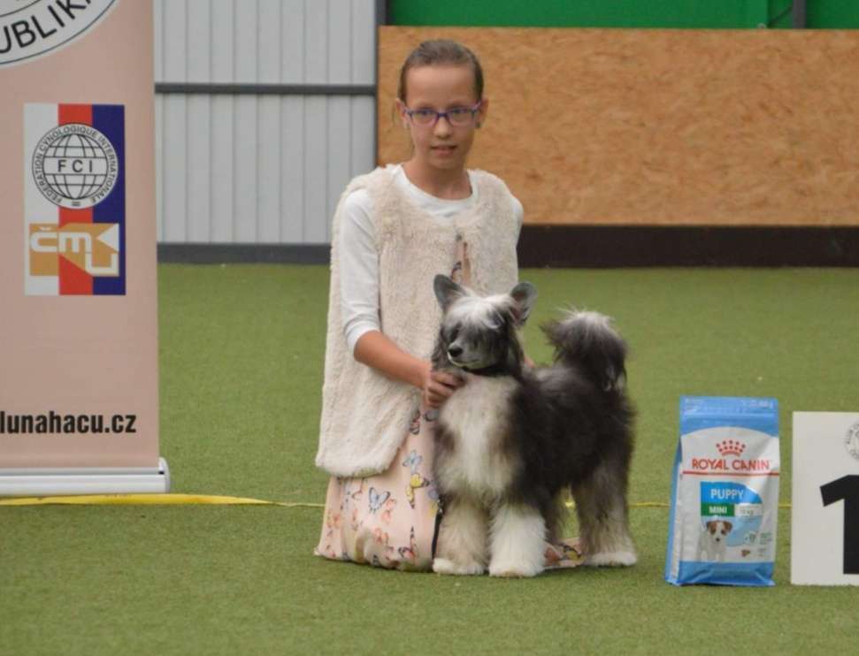 Forseti's Pippy Longstockin