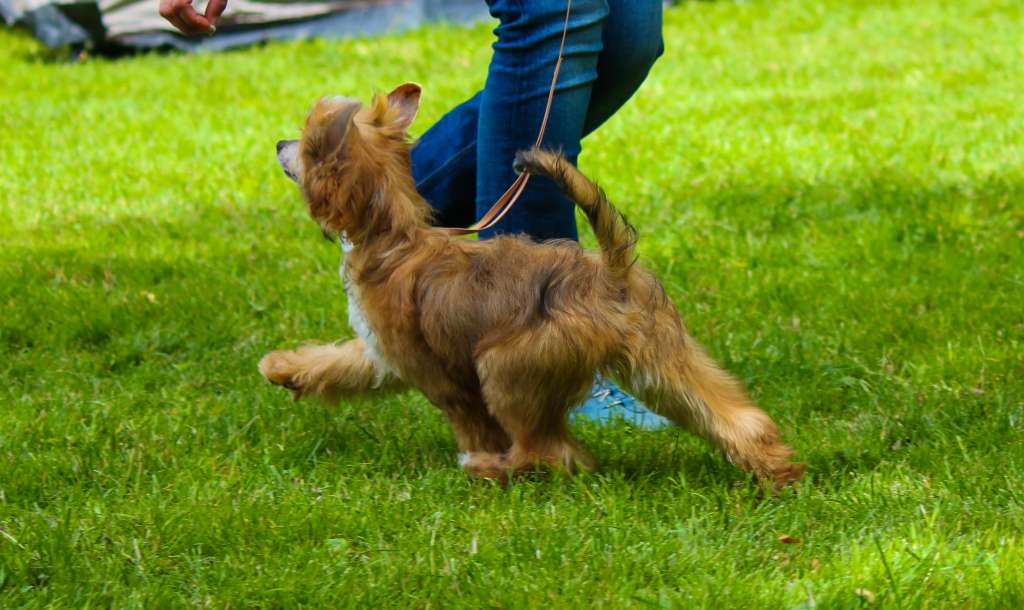 Inari Kin Armagnac Chabot Vintage