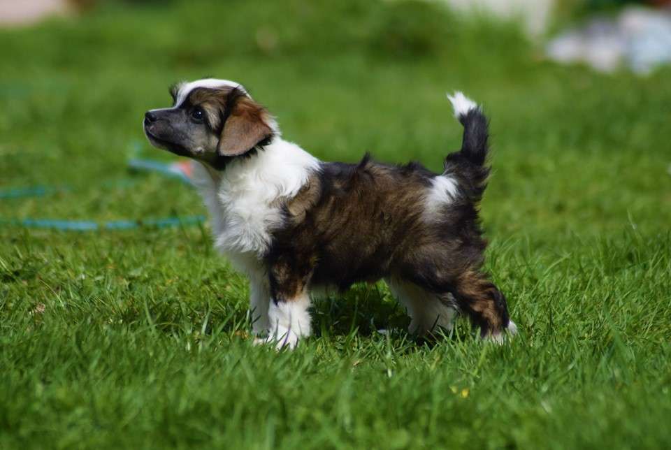 Kalimera's Gimme S'more