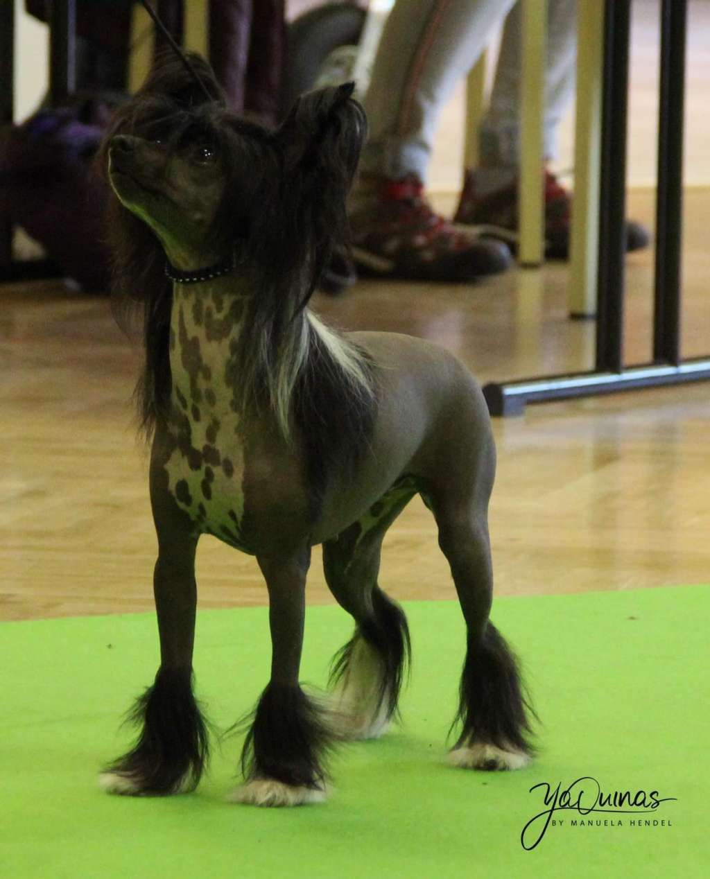 Happy Daiquiri Winning Smile