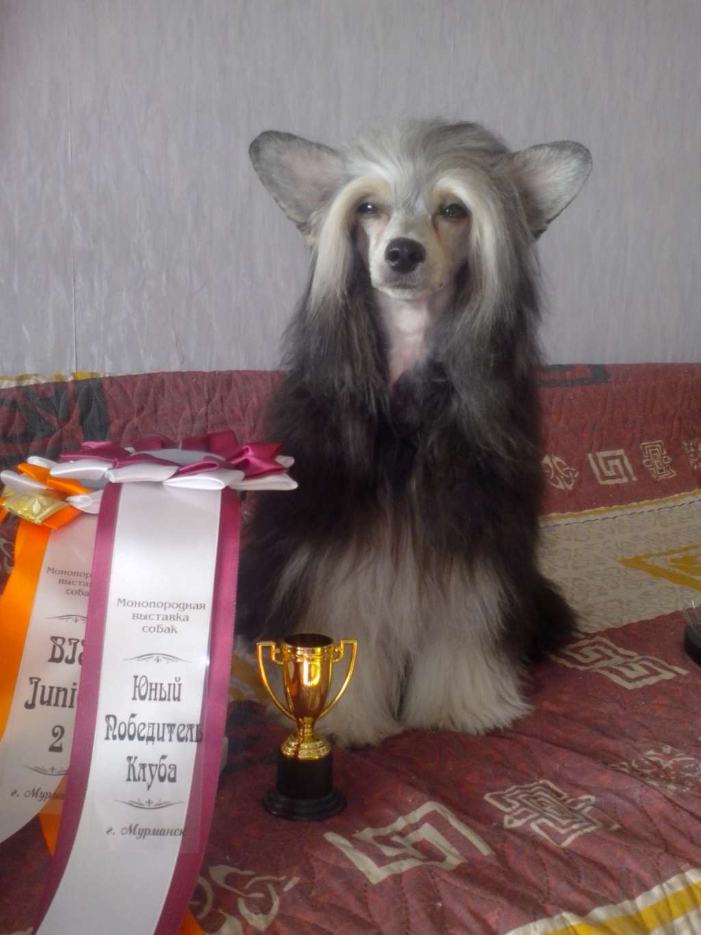 Shining Force Alpine Avalanche