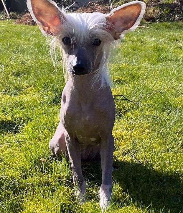 Kamelia Take Me Away