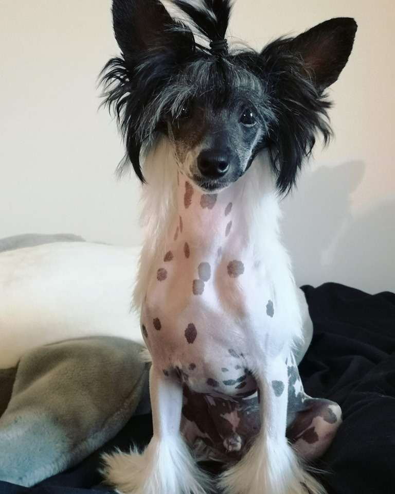 Kalimera's Minter Wonderland