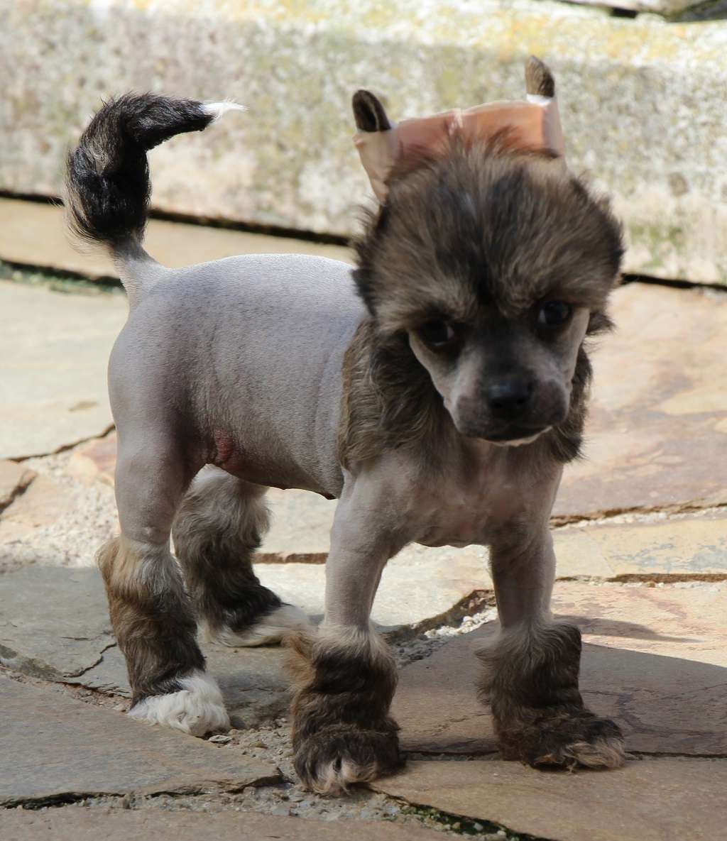 Soul of angeles de Almamasan