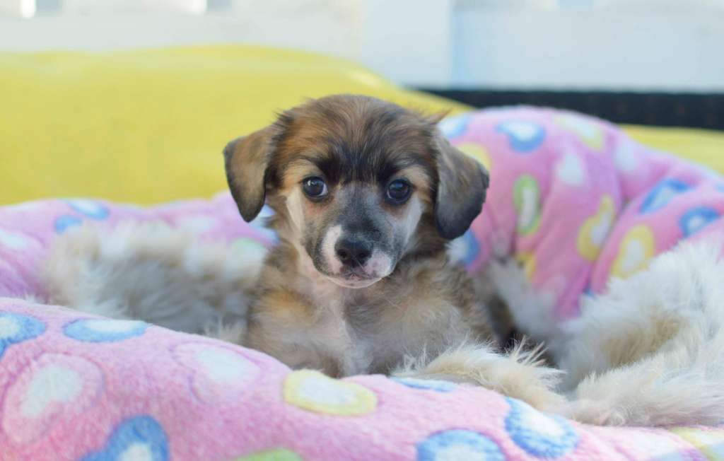 Moelmo's Zero Gravity