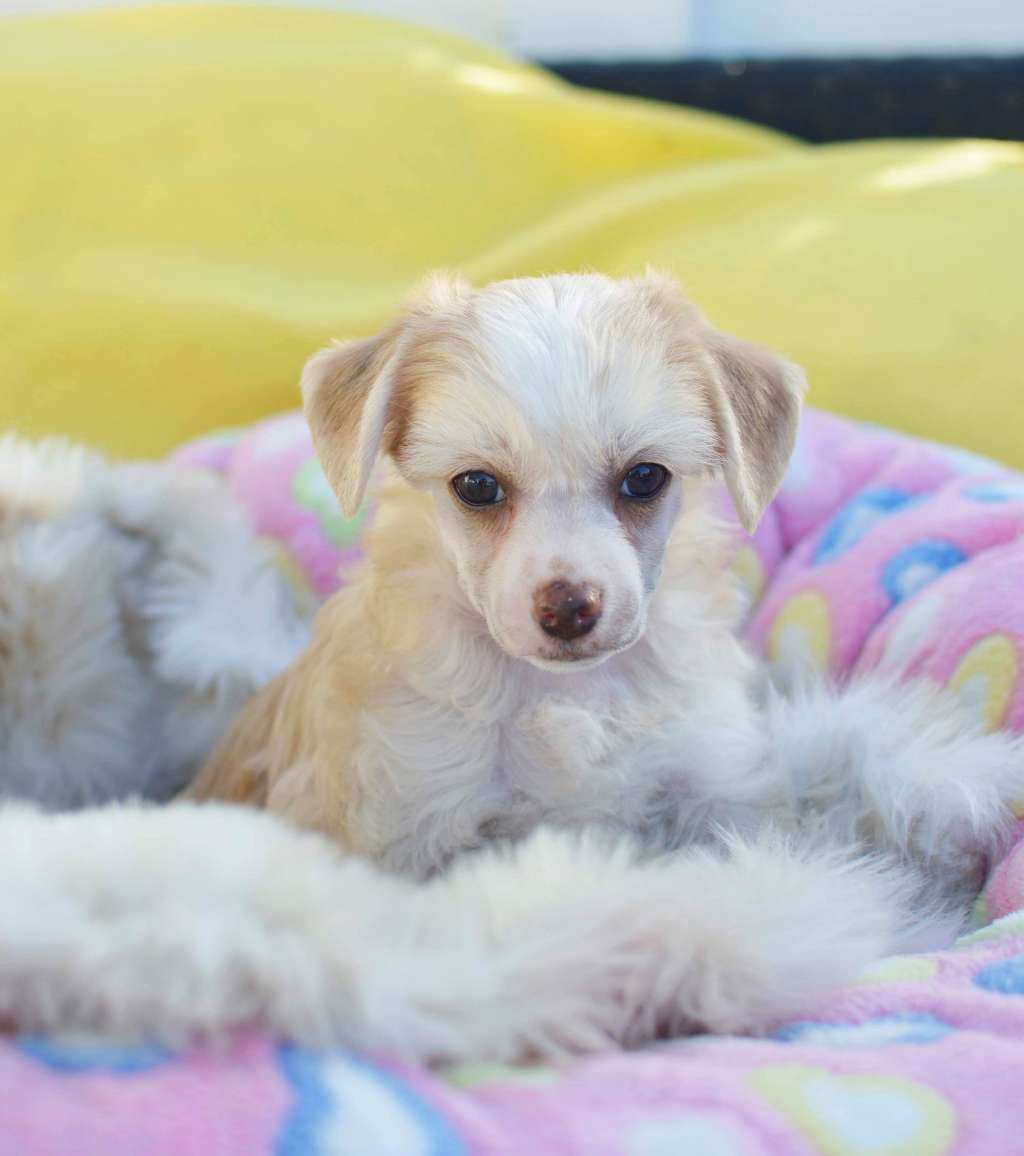 Moelmo's Zight For Sore Eyes