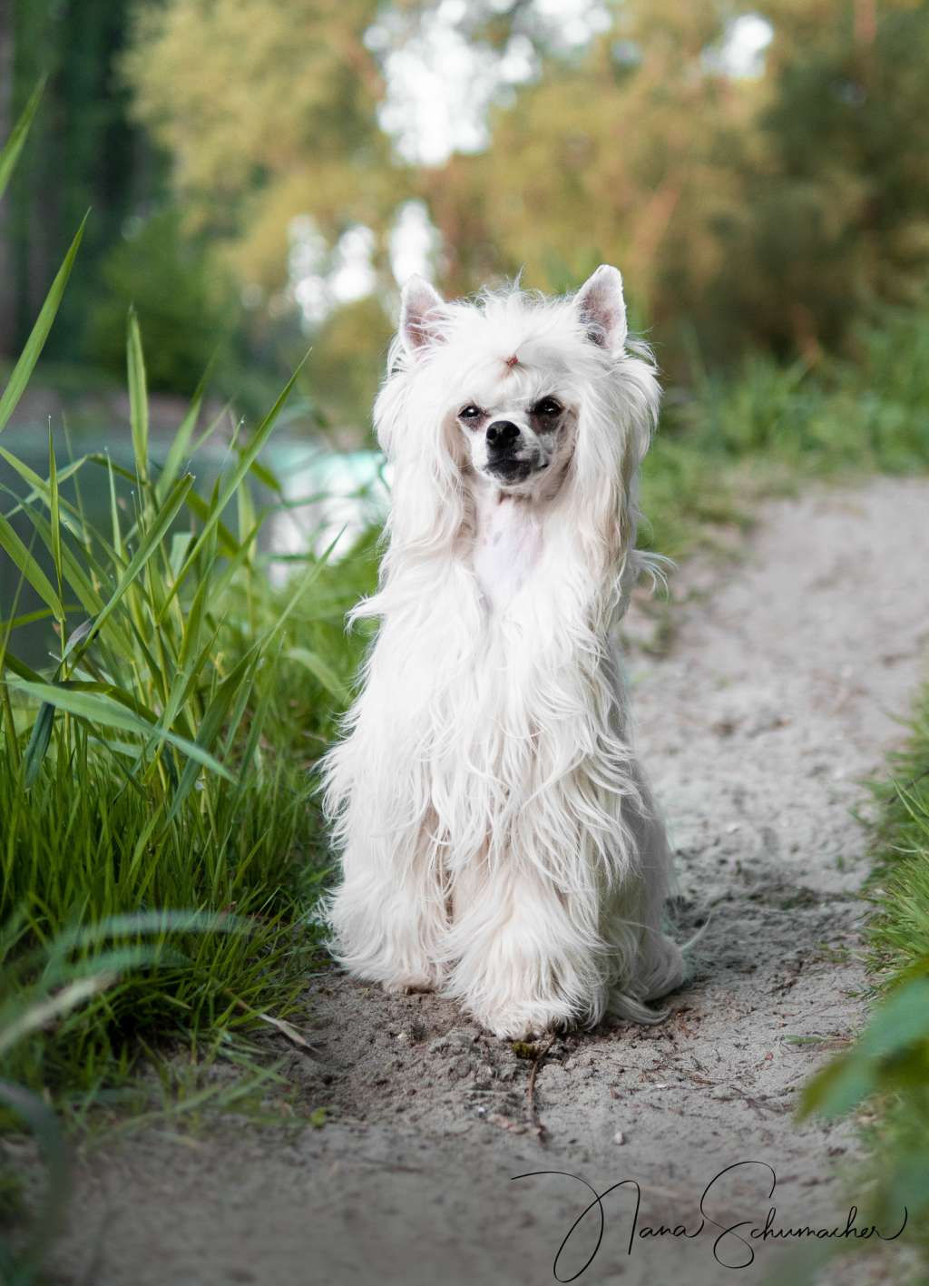 Aslaug Sigurdstochter from Vikings Castle