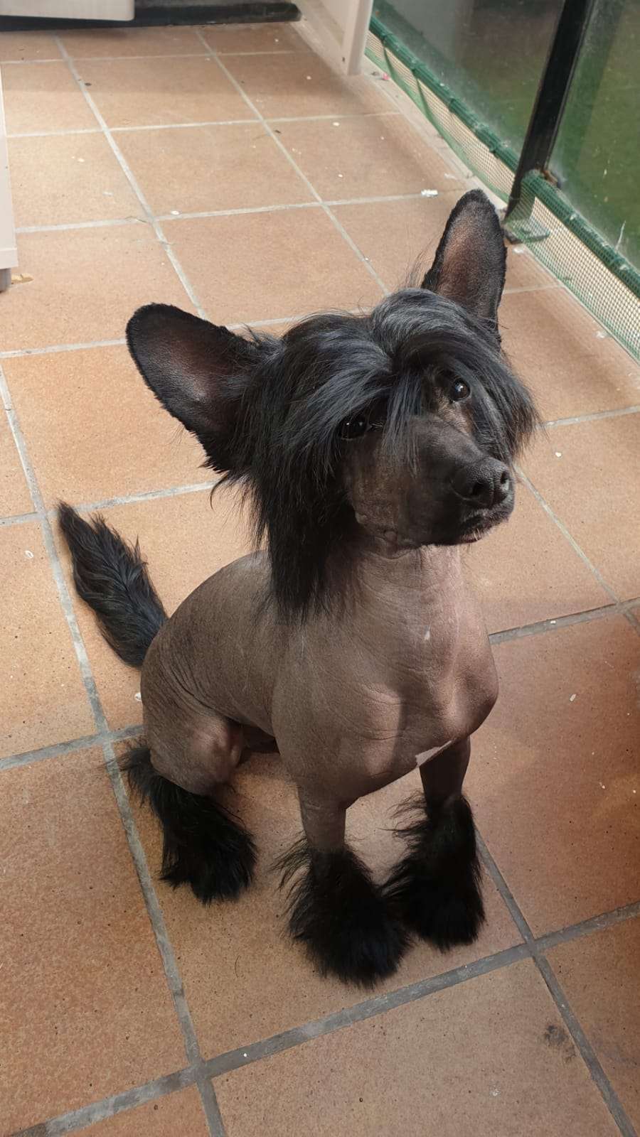 Volcancrest Black Rock Desert