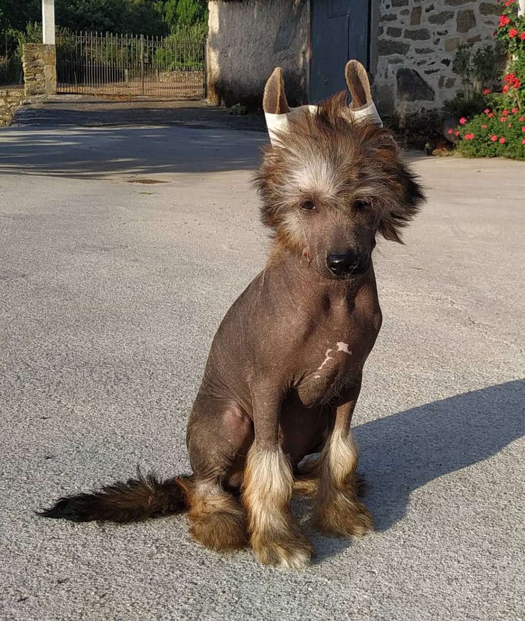 Volcancrest Diamond Cráter