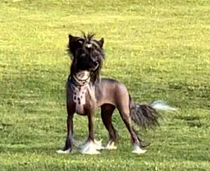 Jaimee Lee vom Apfelland